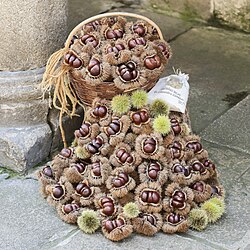 2025 Venda de castañas. Rúa Nova. Santiago-2