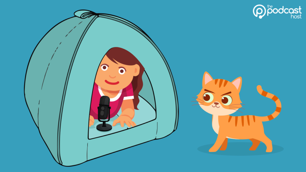 cat bed podcast studio